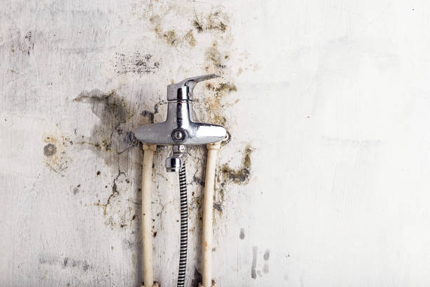 Best Mold Removal Company Near Me  in Aptos, CA