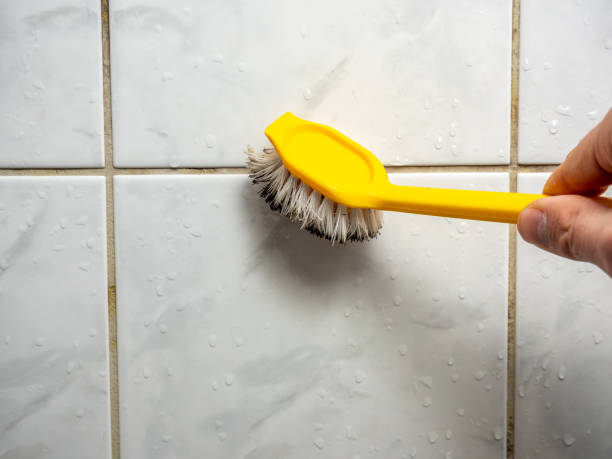 Best Certified Mold Removal  in Aptos, CA