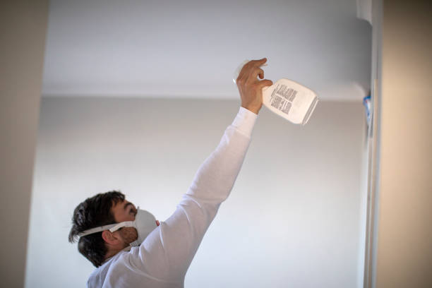 Best Office Mold Removal Services  in Aptos, CA