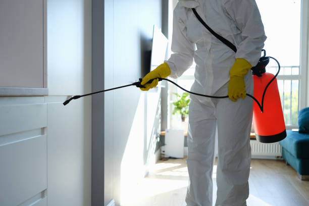 Best Mold Remediation  in Aptos, CA