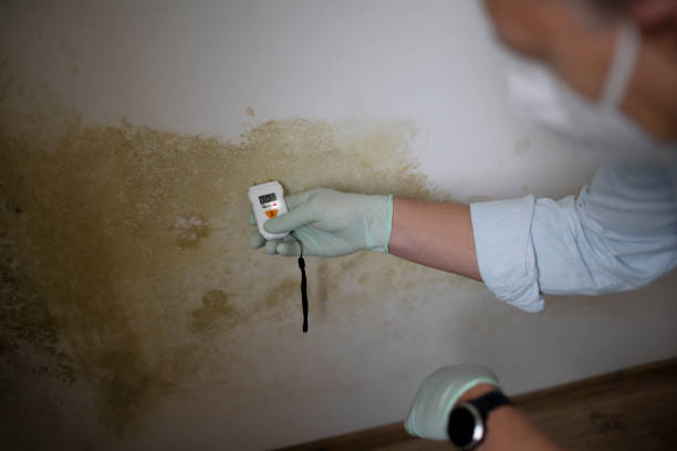 Best Crawl Space Mold Removal  in Aptos, CA