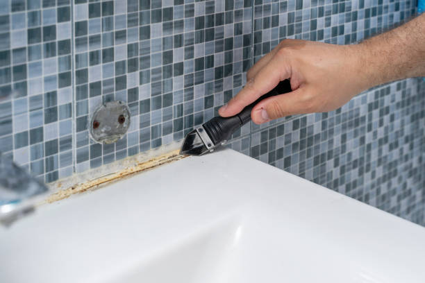 Best Mold Cleaning Services  in Aptos, CA