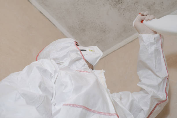 Best Professional Mold Removal  in Aptos, CA