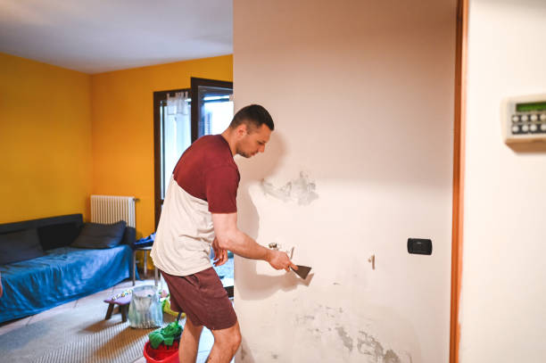 Best Same-Day Mold Removal  in Aptos, CA